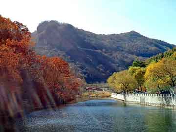 管家婆黑白马报图库，丙烷价格